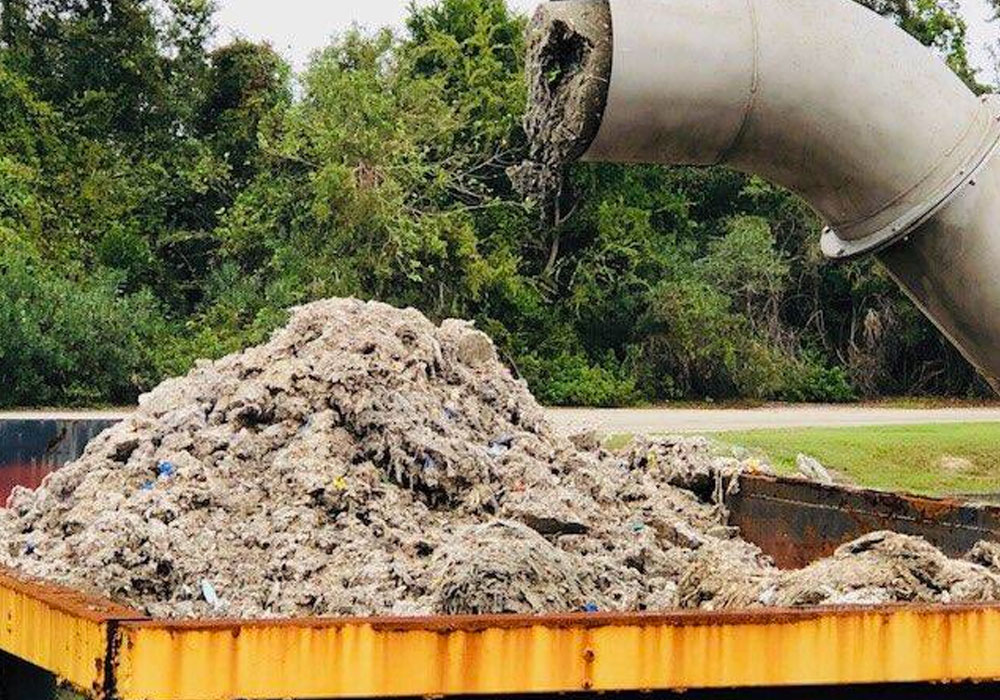 Jacksonville Fatberg collection